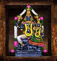 Sri Lakshmi Narayana Puja